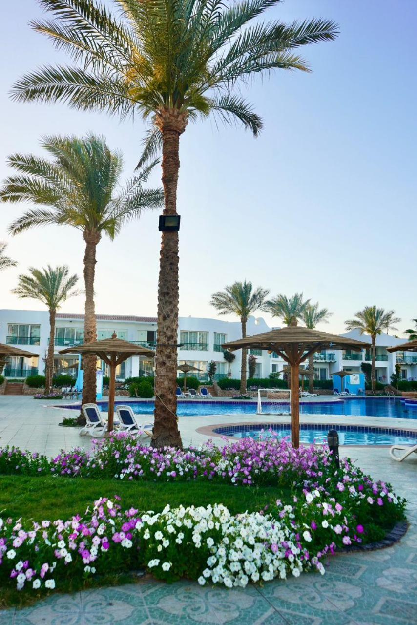 Panorama Naama Heights Hotell Sharm el-Sheik Eksteriør bilde